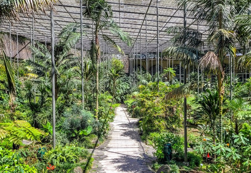 Botanical Garden of Lisbon, Portugal
